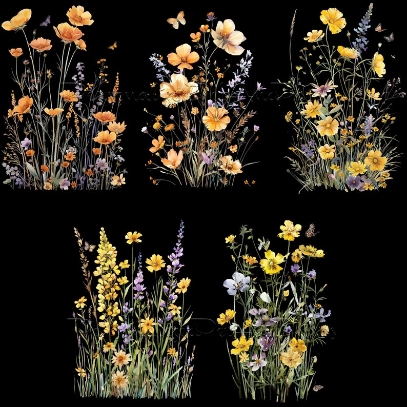May include: A digital illustration of six bouquets of yellow, orange, and purple wildflowers with green stems and leaves on a black background.