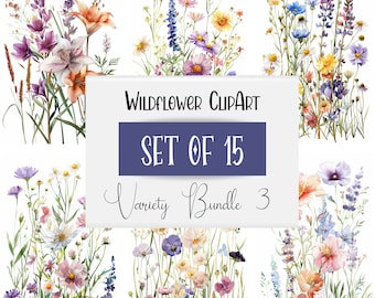 Commercial Use | Meadow Flowers Png | Spring Clipart | Watercolor Wildflower Clipart | Botanical Clipart | Floral Clipart | Frame Art