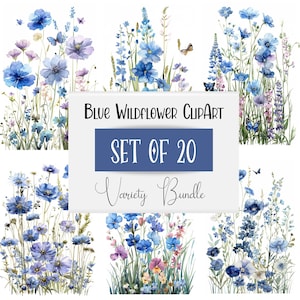 Aquarel blauwe wilde bloemen clipart bundel van 20, Instant Download, Digital Crafting, zomer clipart, weidebloemen png, gratis commercieel gebruik