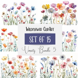 Uso Comercial | Prado Flores Png | Clipart de primavera | Clipart de flores silvestres em aquarela | Clipart botânico | Clipart floral | Arte da moldura