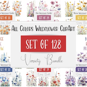 128 Pacote de clipart de flores silvestres em aquarela, download digital de clipart floral de prado, fundo transparente, uso comercial, clipart de casamento