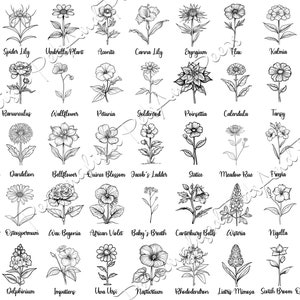 Paquete de 45 imágenes prediseñadas de flores individuales con nombre, bocetos de flores, gráficos PNG florales, uso comercial gratuito, descarga instantánea, paquete floral PNG