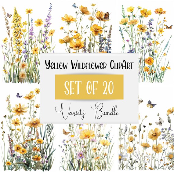 20 Watercolor Wildflower Clipart BUNDLE, Yellow Flower Png, Spring Floral, Meadow Clipart, Transparent Background, Free Commercial Use