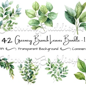 May include: A set of 42 watercolor illustrations of green leaves and branches. The leaves are various shades of green and are arranged in a variety of shapes and sizes. The illustrations are perfect for adding a touch of nature to your designs.