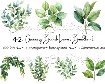 May include: A set of 42 watercolour illustrations of green leaves and branches. The leaves are various shades of green and are arranged in a variety of shapes and sizes. The illustrations are perfect for adding a touch of nature to your designs.