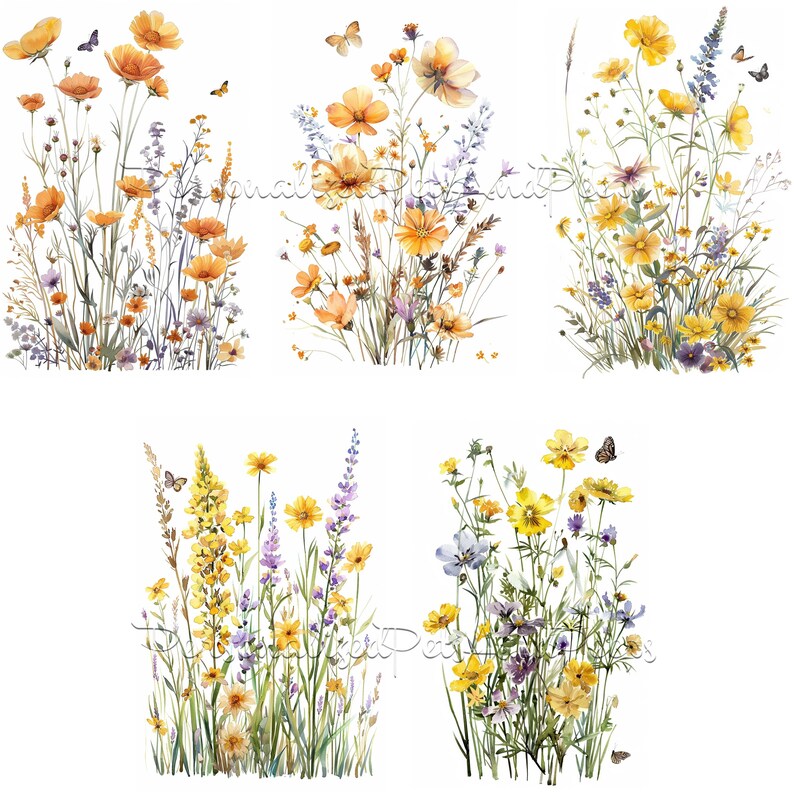 May include: Six watercolor illustrations of yellow and purple wildflowers with butterflies. The flowers are arranged in a bouquet-like shape and are set against a white background.