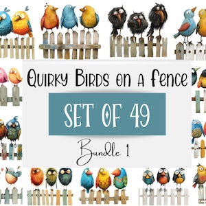 49 pájaros extravagantes de acuarela en un paquete de imágenes prediseñadas de cerca, imágenes prediseñadas de pájaros divertidos, pájaros de dibujos animados, diario basura, elaboración digital, uso comercial