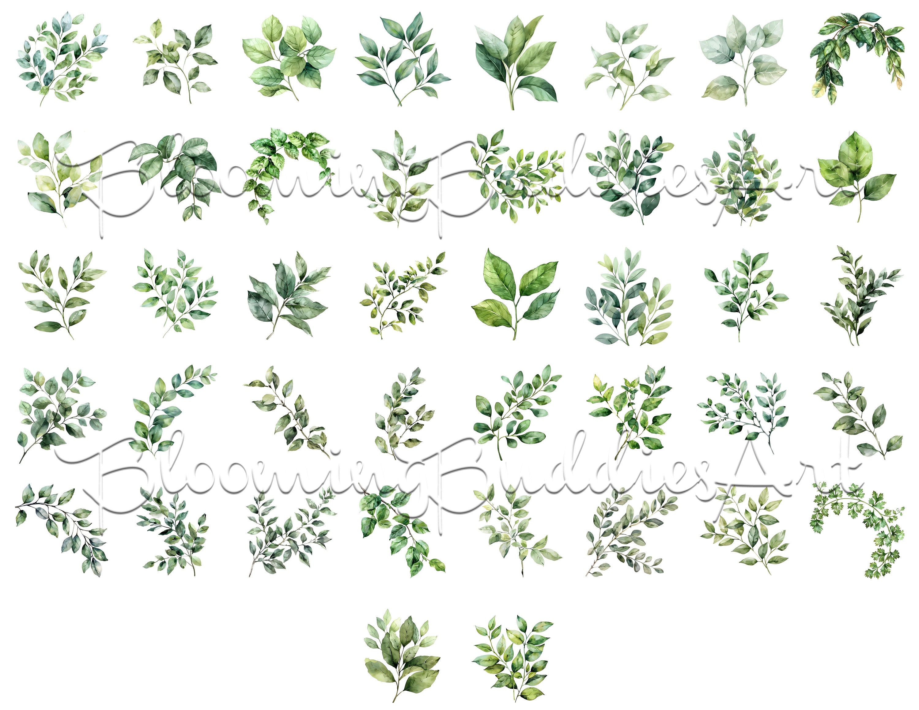 Branch Leaves Greenery Clipart Bundle of 42, Leaves Clipart, Fern Clip