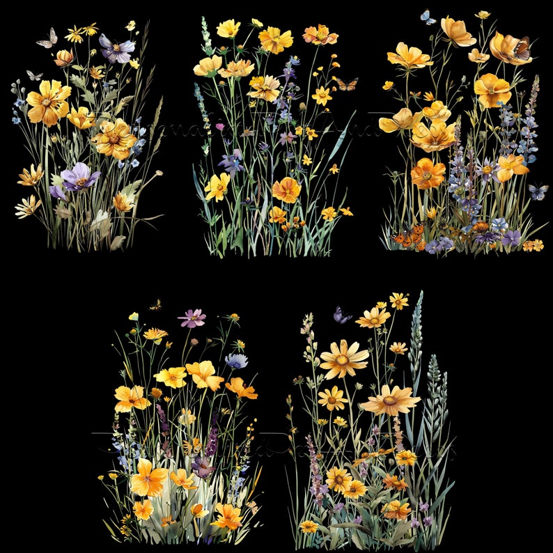 20 Watercolor Wildflower Clipart BUNDLE, Yellow Flower Png, Spring Floral, Meadow Clipart, Transparent Background, Free Commercial Use image 7
