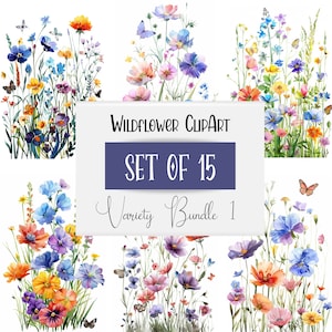 Uso Comercial | Prado Flores Png | Clipart de primavera | Clipart de flores silvestres em aquarela | Clipart botânico | Clipart floral | Arte da moldura