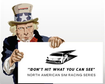 May include: Uncle Sam points to a white sign with a black and white illustration of a race car on a track. The sign reads "Don't Hit What You Can See" and "North American Sim Racing Series".