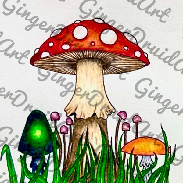 Cute Toadstool, Colorful Toadstool, Toadstool and Fungi, Toadstool Design, Toadstool Digital File, Colored Pencil Toadstool, Toadstool Art