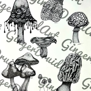 Mushroom Flash, Mushroom Tattoo Flash, Fungi Flash, Fungi Tattoo Flash, Tattoo, Flash, Mushroom Drawings, Mushroom Art, Fungi Digital File