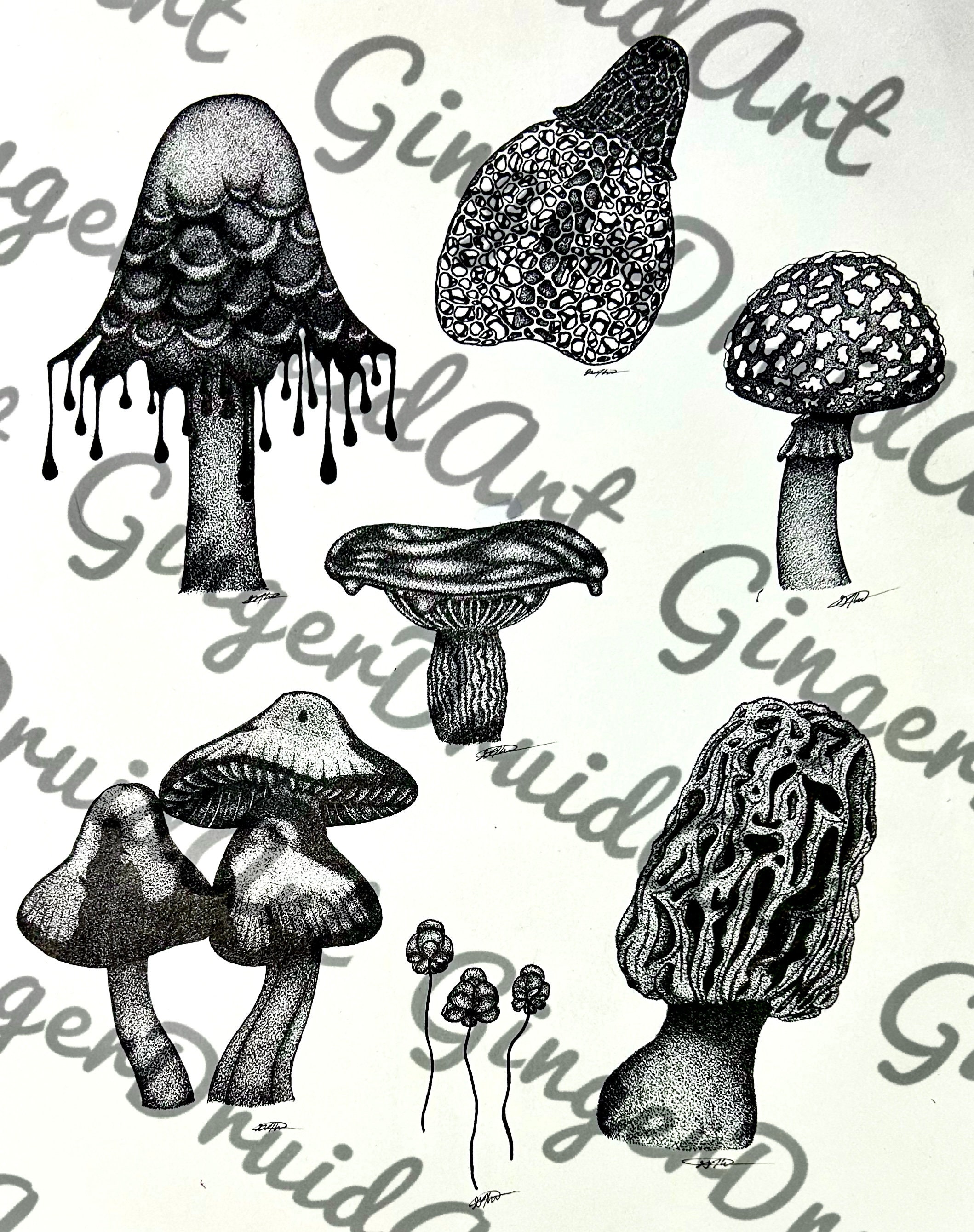 Mushroom Flash, Mushroom Tattoo Flash, Fungi Flash, Fungi Tattoo Flash
