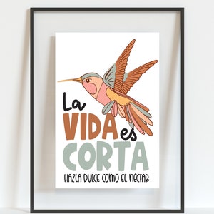 May include: A framed print featuring a colourful hummingbird illustration and the Spanish text "La vida es corta hazla dulce como el néctar", which translates to "Life is short make it sweet like nectar".