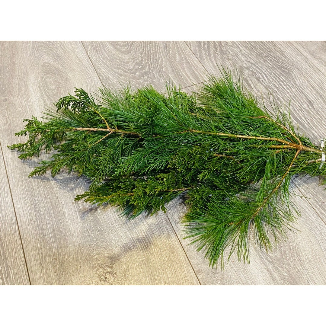 FRESH CUT Evergreen Foliage Eastern Red Cedar Juniper Berry & Etsy