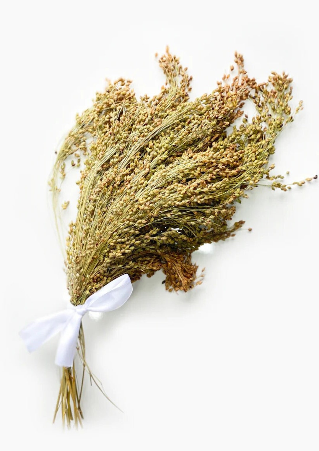 Panicum Miliaceum Millet Organic Natural Dried Spray for Rodents