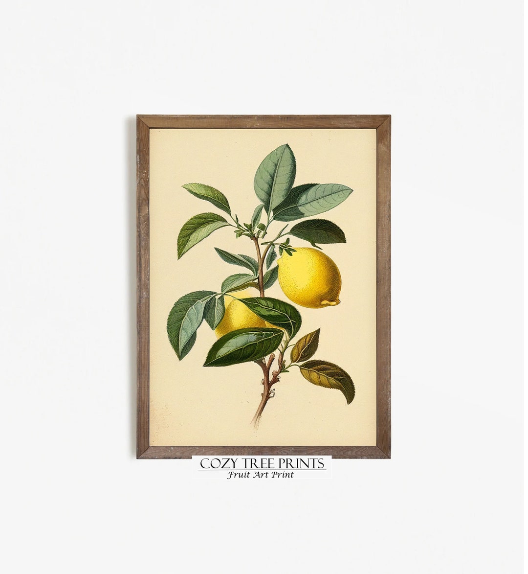 Printable Lemon Botanical, Fruit Art Print, Wall Art Digital Download