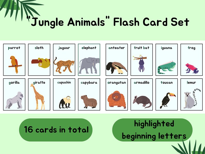 Jungle Animals Flash Card Version One Etsy