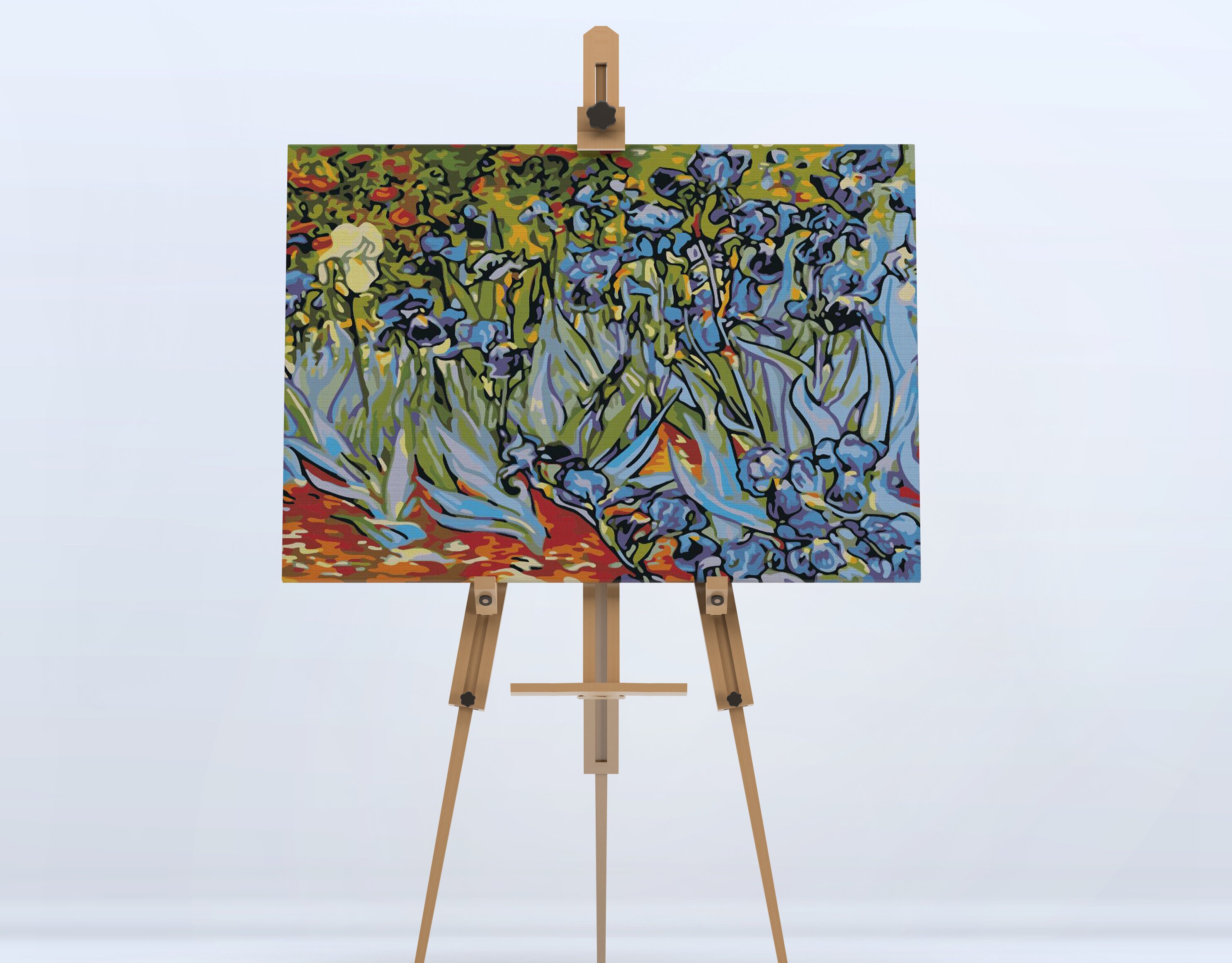 Irises VAN GOGH FLOWER Painting by Number Picture on Canvas Kit for