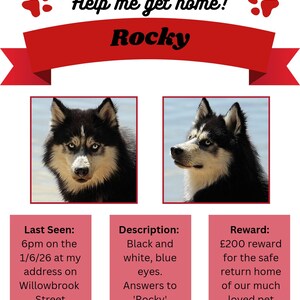 Modèle de Flyer modifiable pour chien perdu, affiche imprimable chat disparu, enseigne téléchargeable et modifiable, toile modifiable