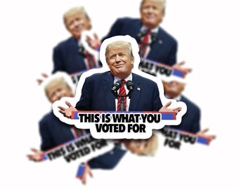 Dozen "This is what you voted for" sticker | Anti Trump | Political stickers | Meme stickers | Waterproof