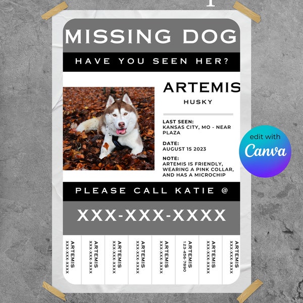 Canva Template | Customizable Template | Lost Pet Poster | Editable Flyer Template | Missing Lost Dog Flyer Template