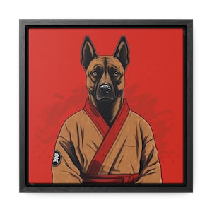 Belgian Malinois in a Gi and ready to Grapple