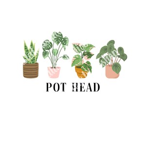 May include: Four potted plants with different types of leaves. The plants are in a row and the text "POT HEAD" is below them.