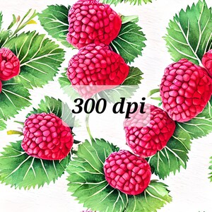 May include: A seamless pattern featuring watercolor illustrations of red raspberries with green leaves. The text "300 dpi" is included in the image.