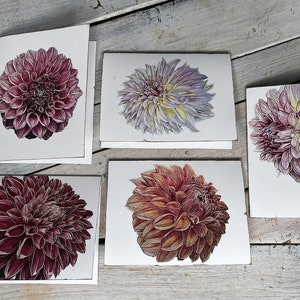 Botanical Watercolor Note Card set "KA'S" - painted by artist and gardener, Stacy Ann Pugh