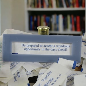 Fortune Cookie Frame