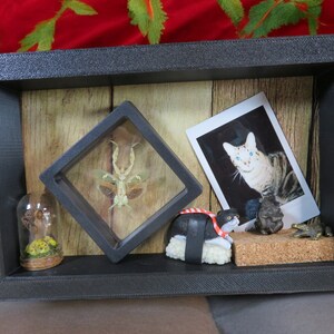 May include: A shadow box with a variety of items, including a framed insect, a small glass dome with a miniature figurine, a photo of a cat, a sushi-shaped figurine, a small frog figurine, and a piece of cork.