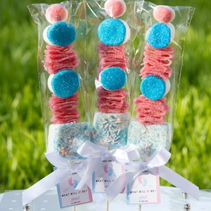 Pink and Blue Party Favor for Gender Reveal Sweet Decoration for Baby Gender Reveal Candy Idea Boy or Girl Party He or She What Will Baby Be