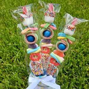 Candy Kabob Party Favor Sweet Gift for Birthday Celebration Gifts Children Birthday Candy Skewer Marshmallow Birthday Treat Gummy Kid Candy