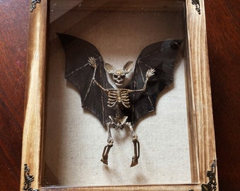 Mummified Skeleton Bat 3D Mixed Media Art