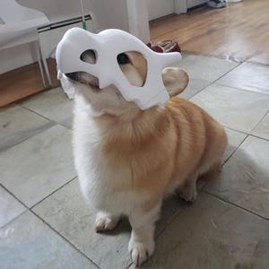 Puede incluir: Un perro corgi con una máscara blanca con forma de calavera. El perro tiene un pelaje marrón y blanco y mira hacia arriba. La máscara cubre los ojos y la nariz del perro, con aberturas para ver y respirar. El perro está sentado en un suelo embaldosado.