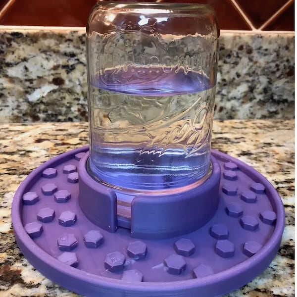 Bee Watering Tray, Mason Jar Bee Feeder and Waterer, Beekeeper Gift, Garden Insect Aid, Automatic Bee Hydrator