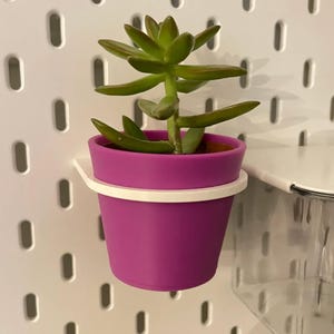 Soporte para plantas con maceta para IKEA Skadis, expositor de suculentas en panel perforado.