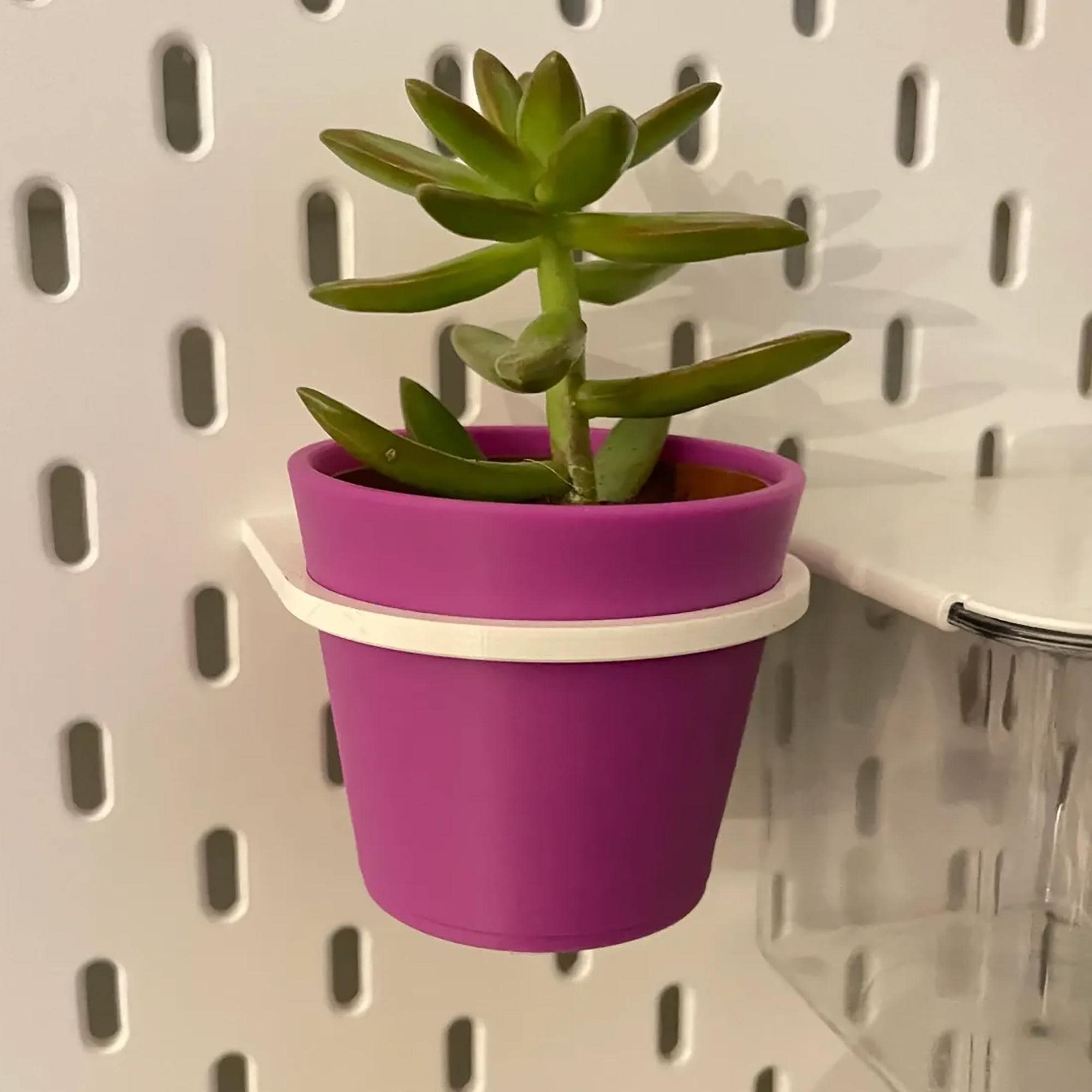 Ikea succulents - Etsy sterreich
