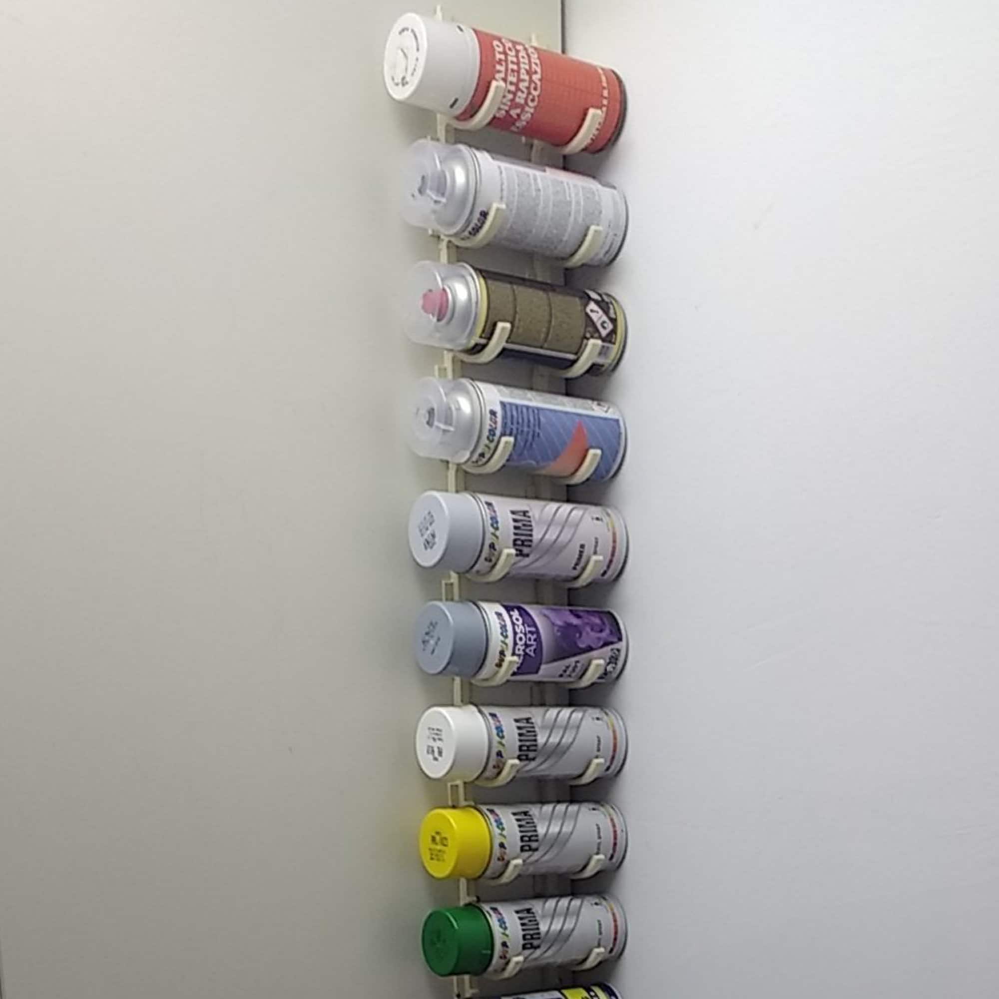 Spray Can Wall Storage System, Hanging Organizer, Garage Space Saver