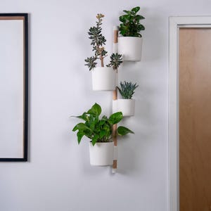 Könnte beinhalten: Ein weißer Wand-Pflanzenhalter mit vier weißen Töpfen, die jeweils eine andere Art von grüner Pflanze enthalten. Der Halter hat einen Holzrahmen und ist an einer weißen Wand befestigt. Links hängt ein gerahmtes Bild.