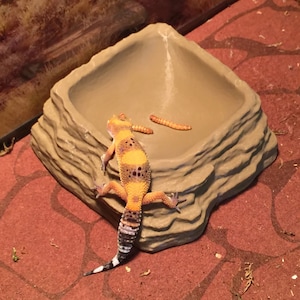 Food or Water Dish for Reptiles or Small Animals, Natural Rock Shaped Bowl, Ideal for Lizards, Snakes, Hamsters, Birds, Chameleon