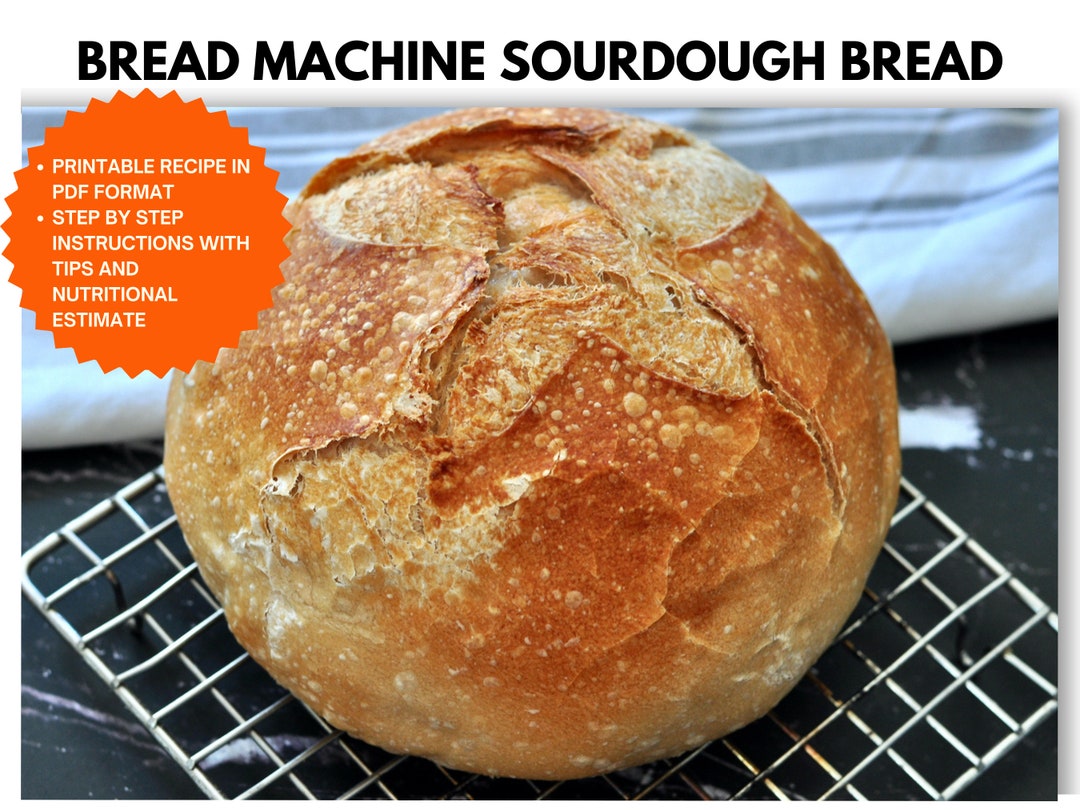 Bread Machine Sourdough Bread Recipe Instant Digital Download 