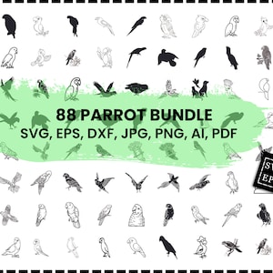 Parrot Svg Bundle, Parrot Dxf, Parrot Png, Parrot Eps, Parrot Vector, Parrot Cut Files, Parrot Clipart, Parrot Bird Svg, Parrot Head Svg