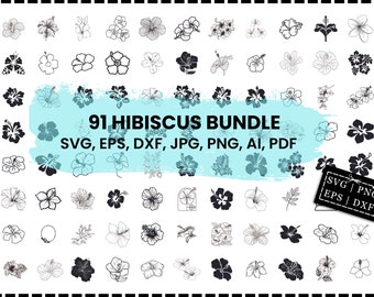 Hibiscus Flower Svg Bundle, Tropical Flower Svg, Cricut Cut Files, Flowers Clipart, Hawaiian Flower Svg, Silhouette, Flowers Png