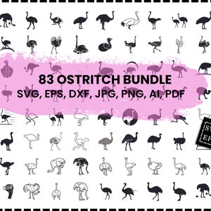 Struisvogel SVG-bundel, struisvogel DXF, struisvogel png, struisvogel EPS, struisvogel vector, struisvogel gesneden bestanden, SVG-bundel, Australische vogel SVG, struisvogel SVG