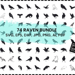 Raven Svg Bundle, Crow Svg, Raven Png Bundle, Raven Clipart, Raven Svg Cut Files for Cricut, Raven Silhouette, Raven Head Svg, Ravens Svg