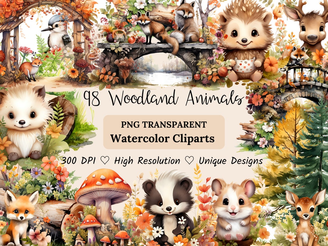 Woodland Animals Watercolor Clipart Bundle, Fox Bear Deer Owl Bunny ...