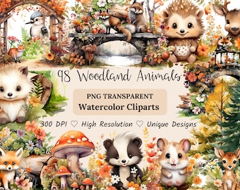 Woodland Animals Watercolor Clipart Bundle, Fox Bear Deer Owl Bunny Squirrel PNG, Nursery Animal Art, Forest Clipart, Commercial Use